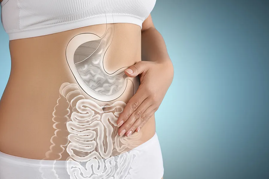 Close up of the midriff of a woman with white underwear and an illustration of the digestive system superimposed over the image. Get help for digestive issues and gut health from Tanya Zboril, NP of TBT Medical in Regina.